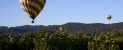 Champagne Balloon Flight, Napa Valley